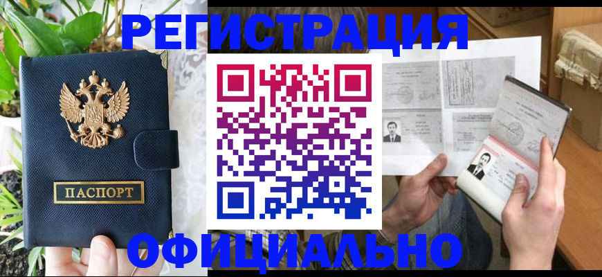 прописка поиск в Кингисеппе